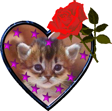 for you 